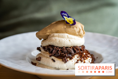 Le Camélia restaurant à Bougival- photos. - A7C08034