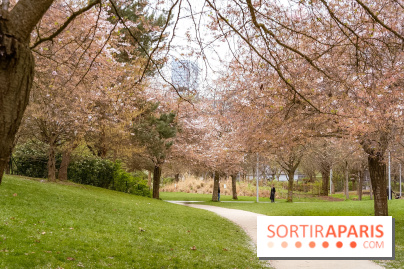 Les cerisiers du parc Martin Luther King - Clichy - Batignoles