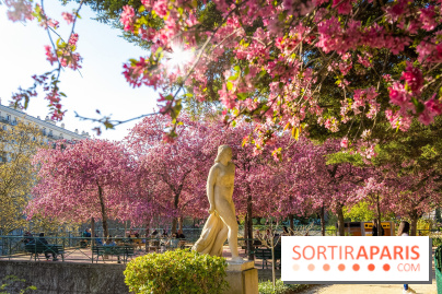 Les pommiers et cerisiers en fleurs du Jardin de Reuilly, Parc de Reuilly à Paris 12e - photos - visuel