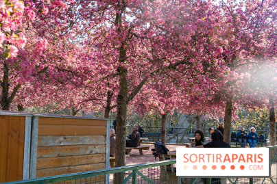 Les pommiers et cerisiers en fleurs du Jardin de Reuilly, Parc de Reuilly à Paris 12e - photos - jouer