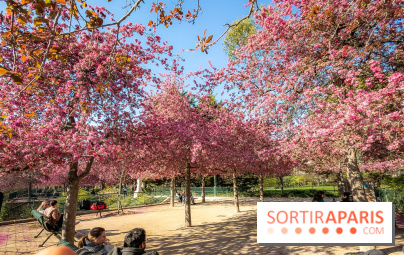 Les pommiers et cerisiers en fleurs du Jardin de Reuilly, Parc de Reuilly à Paris 12e - photos - bosquet