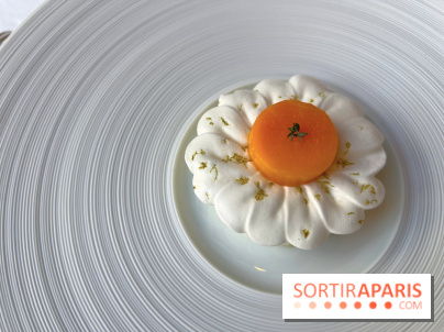 Alliance - Dessert mangue, ananas, glace thym citron, meringue acidulée 