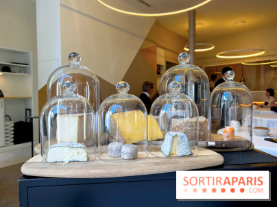 Alliance - Crottin cendré, Vermenton, Langres, Fourme d'Ambert, Laguiole, tomme de brebis