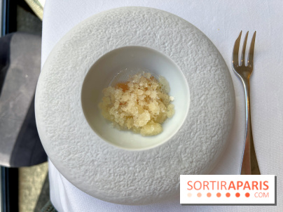 Alliance - Pré-dessert autour de l'agrume, bergamote, granité de bière blanche et citron 