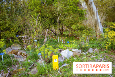Le jardin botanique de Launay et arboretum de l'Université Paris Saclay à Orsay - les photos - A7C09556