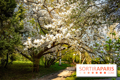 Le jardin botanique de Launay et arboretum de l'Université Paris Saclay à Orsay - les photos