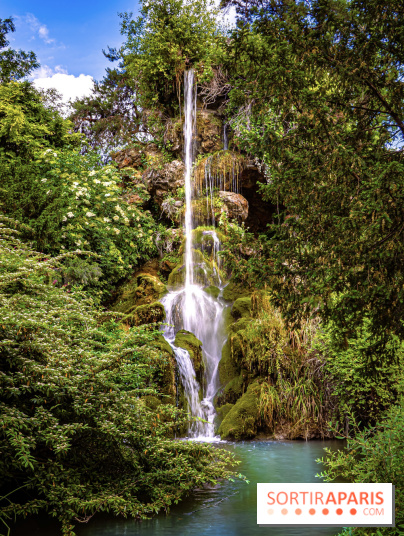Le Parc de Bagatelle au printemps, cerisier, tulipes et jonquilles - photos - A7C00050 HDR