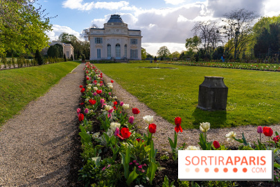 Le Parc de Bagatelle au printemps, cerisier, tulipes et jonquilles - photos