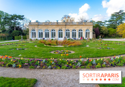 Le Parc de Bagatelle au printemps, cerisier, tulipes et jonquilles - photos