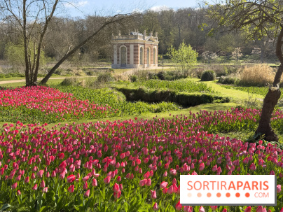 Les tulipes du Château de Dampierre, son jardin anglais et le jardin Le Nôtre