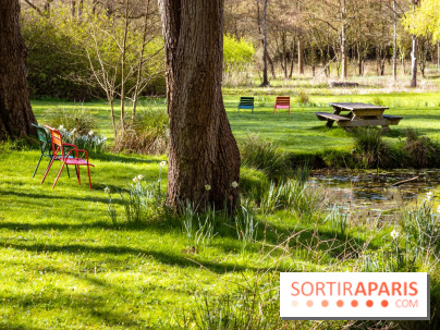 Les tulipes du Château de Dampierre, son jardin anglais et le jardin Le Nôtre - IMG 2938