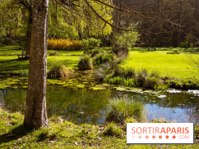 Les tulipes du Château de Dampierre, son jardin anglais et le jardin Le Nôtre - IMG 2953