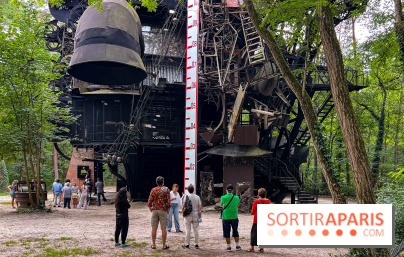 Le Cyclop, le géant d’acier caché dans les bois de Milly-la-Forêt - IMG 5920