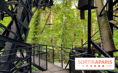 Le Cyclop, le géant d’acier caché dans les bois de Milly-la-Forêt - IMG 5951