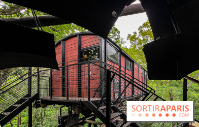 Le Cyclop, le géant d’acier caché dans les bois de Milly-la-Forêt - IMG 6083