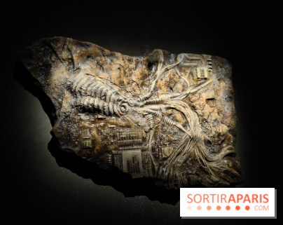 Les Extatiques souterrains : un parcours artistique introspectif sous la Grande arche de La Défense - fotor 1775122120427