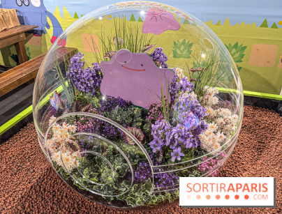 Pokémon Pokopia : un espace détente gratuit pour vous immerger dans le jeu aux Ateliers Gaîté - IMG 5806
