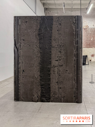 Au Palais de Tokyo, Cheryl Marie Wade explore la culture crip et la poésie engagée - IMG 5951