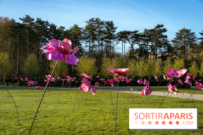 Hanami au Parc de Sceaux 2026, les cerisiers en fleurs et ses  animations