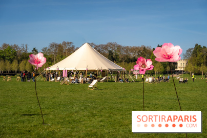 Hanami au Parc de Sceaux 2026, les cerisiers en fleurs et ses  animations