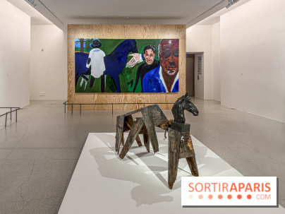 Exposition Henry Taylor au Musée Picasso - IMG 6013