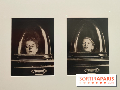 Lee Miller : une exposition consacrée à la photographe américaine au Musée d’Art Moderne de Paris - fotor 1775730904542