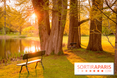 Château de Courson et son domaine : Parc Botanique et Jardin Remarquable en Région Parisienne  - A7C02963 Edit