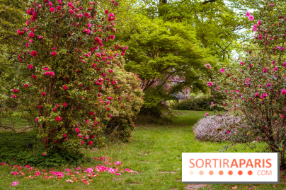 Château de Courson et son domaine : Parc Botanique et Jardin Remarquable en Région Parisienne  - A7C02940 HDR