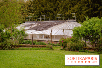 Château de Courson et son domaine : Parc Botanique et Jardin Remarquable en Région Parisienne  - A7C02887