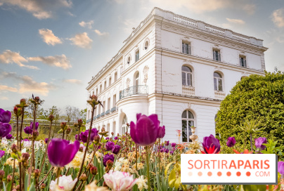 Le Château de Buc et son superbe domaine, parc paysagé aux nombreux trésors - A7C03222 Edit