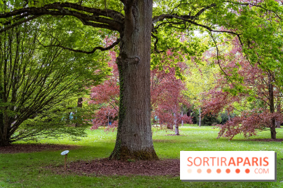 Le Château de Buc et son superbe domaine, parc paysagé aux nombreux trésors