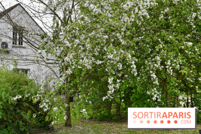 Le domaine de Bellevue, une belle escapade romantique en Seine-et-Marne - DSC 6526