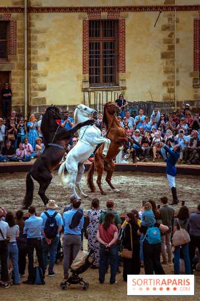 Week-end de reconstitutions desséjours de Marie-Antoinette et Louis XVI à Fontainebleau en photos