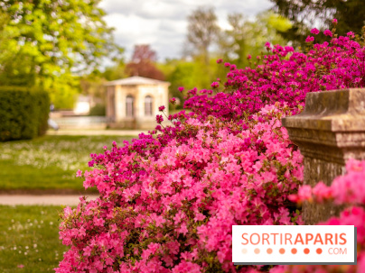 Parc et Jardins du Château de Fontainebleau - les photos