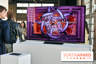 Illumination : l'art numérique coréen s'expose gratuitement aux portes de Paris - DSC 6694