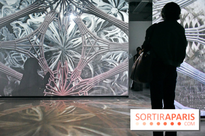 Illumination : l'art numérique coréen s'expose gratuitement aux portes de Paris - DSC 6697