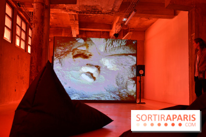 Illumination : l'art numérique coréen s'expose gratuitement aux portes de Paris - DSC 6717