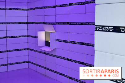 Illumination : l'art numérique coréen s'expose gratuitement aux portes de Paris - DSC 6722