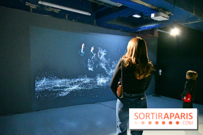 Illumination : l'art numérique coréen s'expose gratuitement aux portes de Paris - DSC 6729