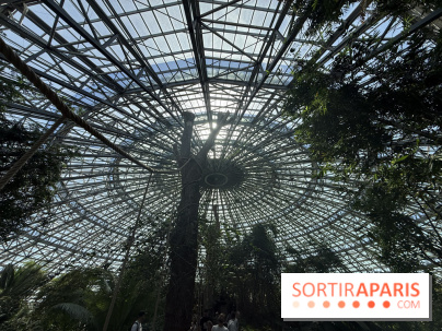 ZooParc de Beauval et Hôtel Les Pagodes de Beauval - IMG 5633