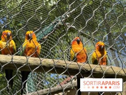 ZooParc de Beauval et Hôtel Les Pagodes de Beauval - IMG 5670