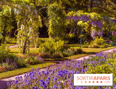 Le Parc des Ibis au Vésinet dans les Yvelines en Région Parisienne - photos  - A7200696