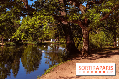 Le Parc des Ibis au Vésinet dans les Yvelines en Région Parisienne - photos  - A7200602