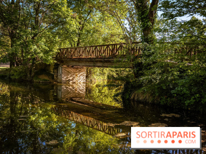 Le Parc des Ibis au Vésinet dans les Yvelines en Région Parisienne - photos  - A7200598