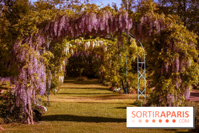 Le Parc des Ibis au Vésinet dans les Yvelines en Région Parisienne - photos  - A7200561