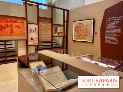 Préhistoire, entre utopie et réalité  - IMG 5568