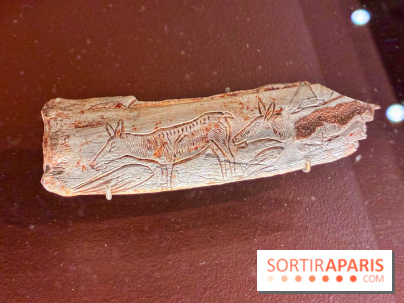 Préhistoire, entre utopie et réalité  - IMG 5569