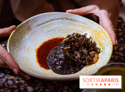 La terrasse du Rivié au Hoxton Paris - photos - ravioles