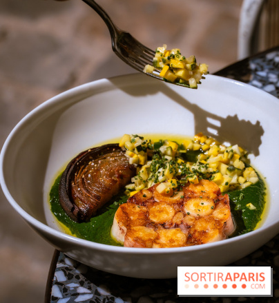 La terrasse du Rivié au Hoxton Paris - photos - poulpe 