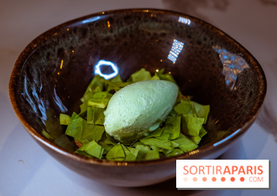 L'Orée des Sablons, restaurant à Fontainebleau - photos - dessert oseille cacahuète
